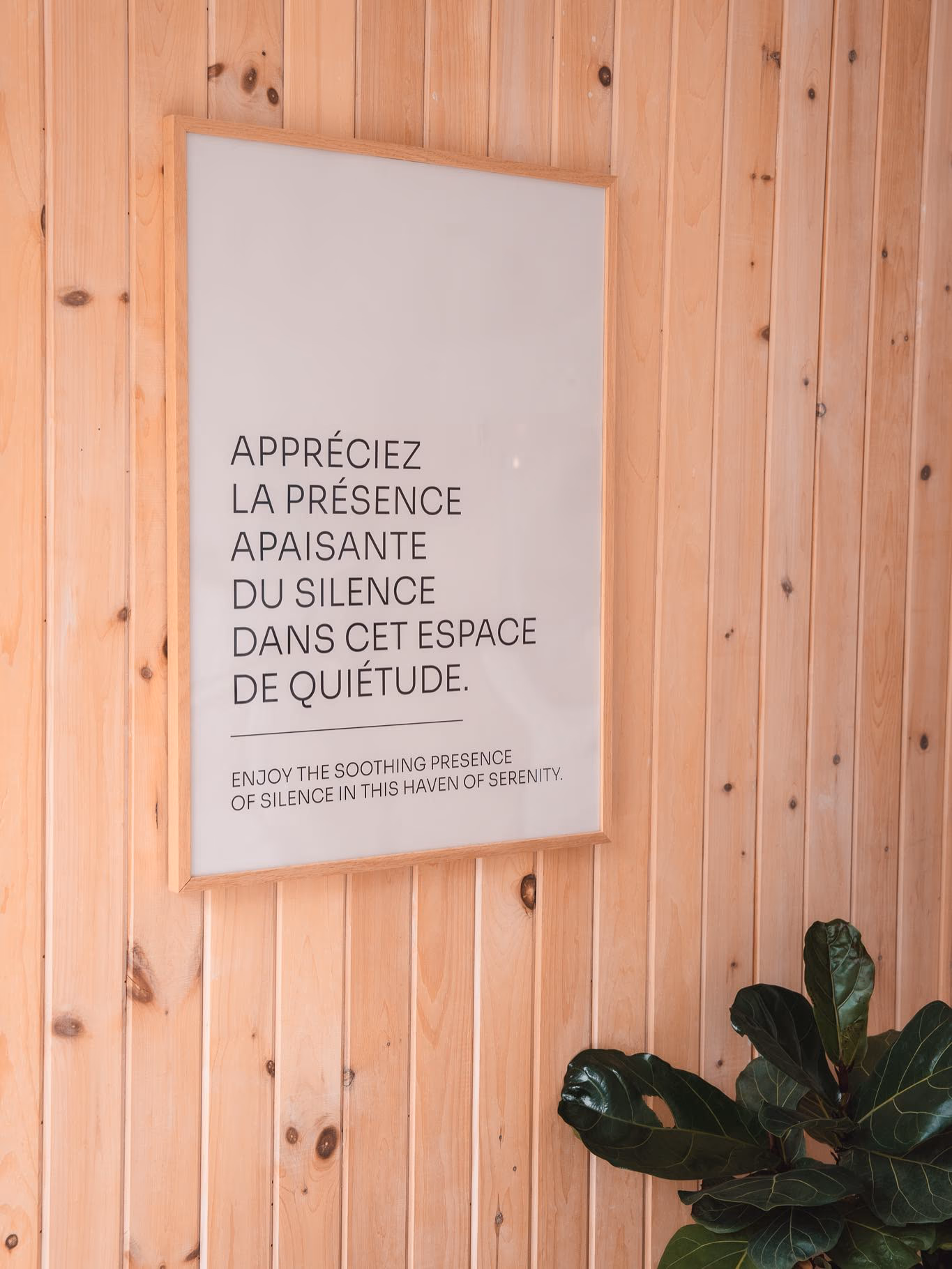 Image from Corporative album